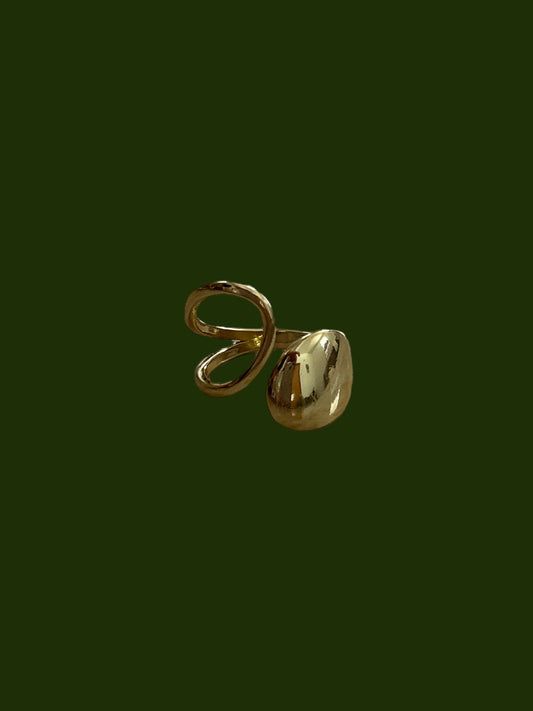 Eva Ring